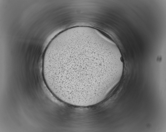 X0000112730804200909171126
