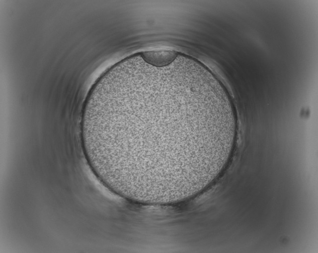 X0000112730805200909171126