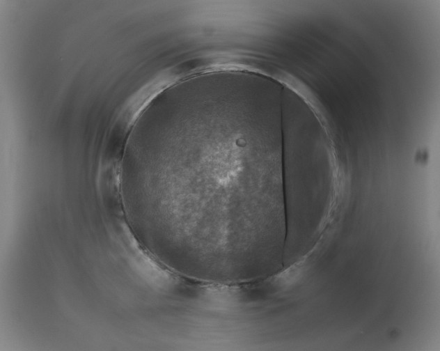 X0000112730809200909171126