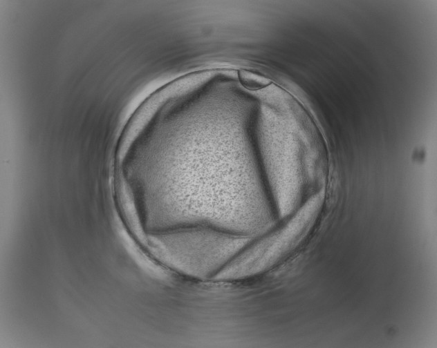 X0000112730811200909171126