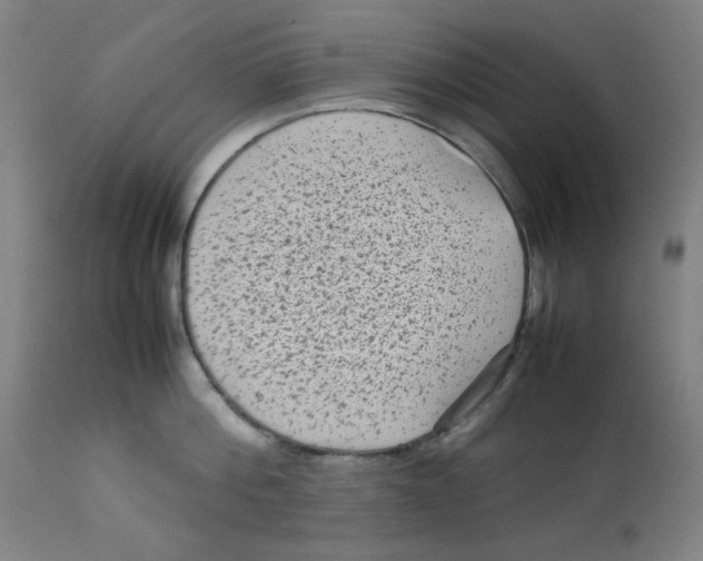 X0000112730812200909171126