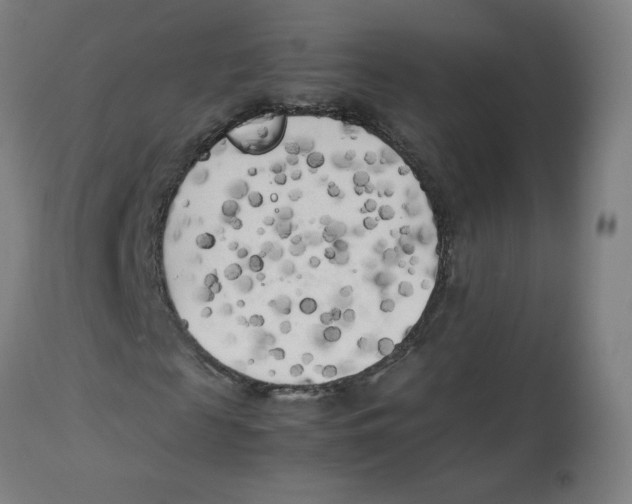 X0000112730817200909171125