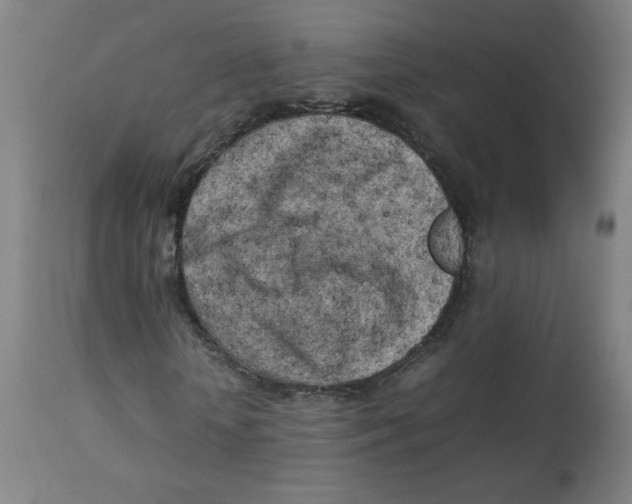 X0000112730818200909171125