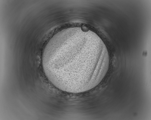 X0000112730821200909171125
