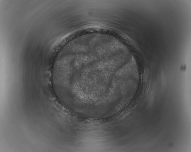 X0000112730822200909171125