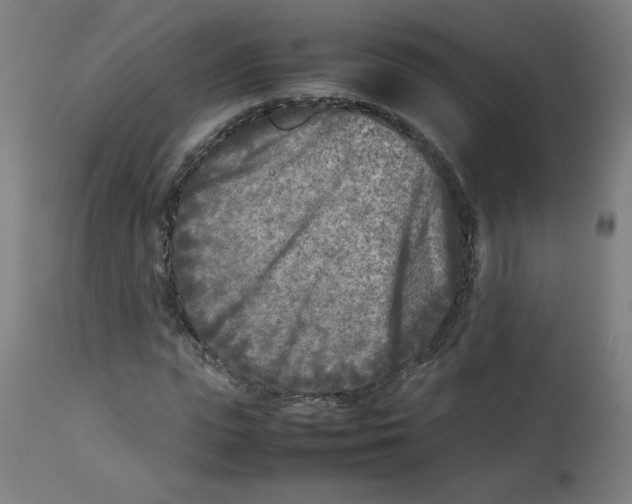 X0000112730823200909171125