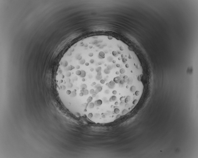 X0000112730825200909171125