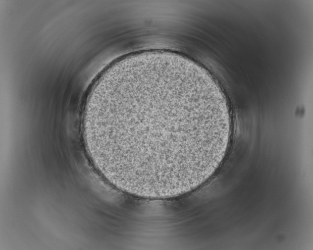 X0000112730828200909171125
