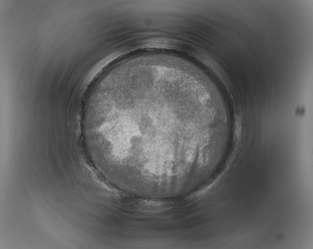 X0000112730829200909171125