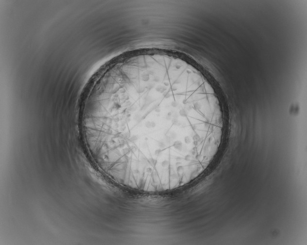 X0000112730830200909171125