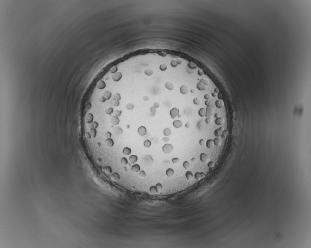 X0000112730837200909171125