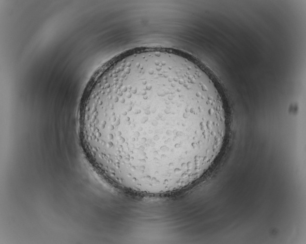 X0000112730840200909171125