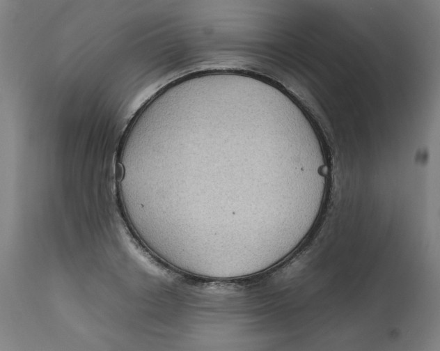 X0000112730842200909171125