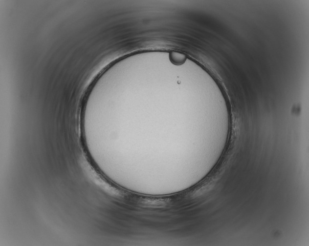 X0000112730843200909171125