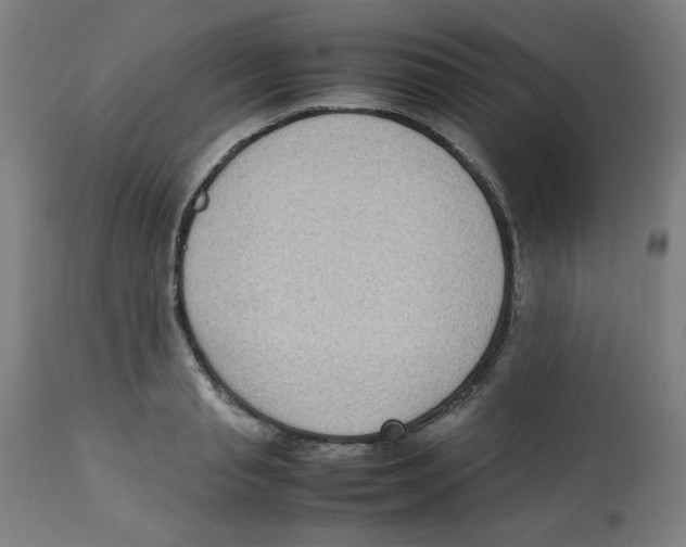 X0000112730845200909171125