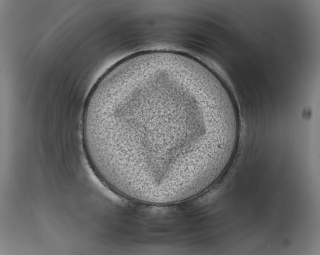X0000112730847200909171125