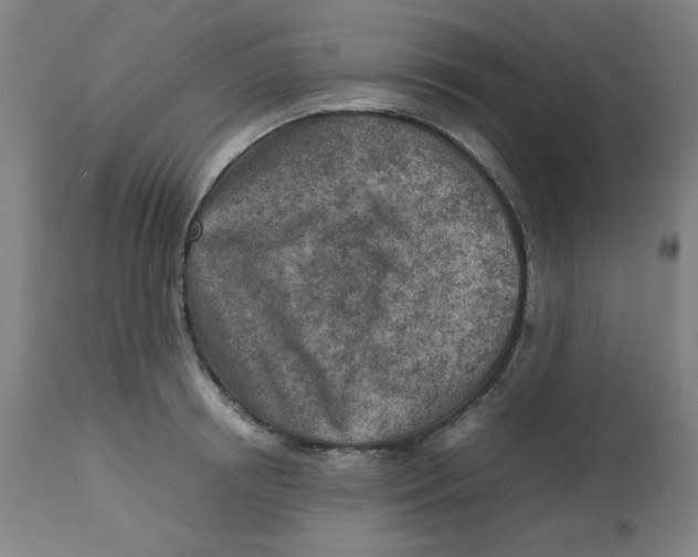 X0000112730850200909171125
