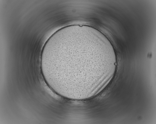X0000112730852200909171126