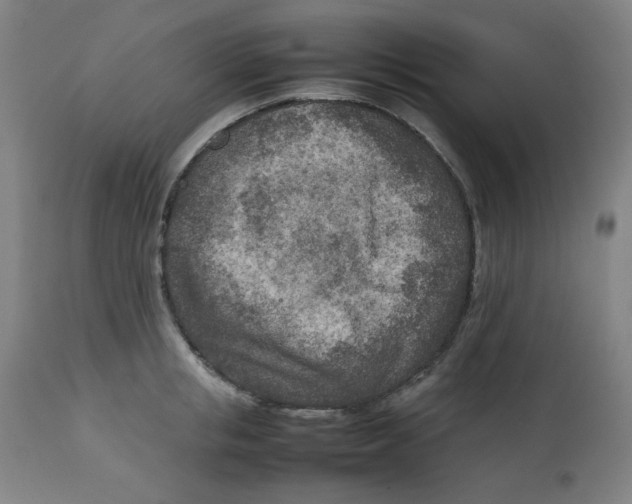 X0000112730853200909171126