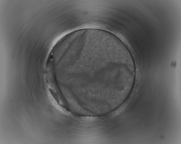 X0000112730854200909171126
