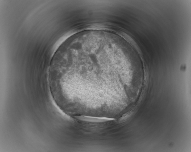 X0000112730855200909171126