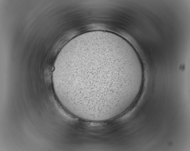 X0000112730857200909171126