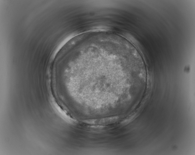X0000112730859200909171126