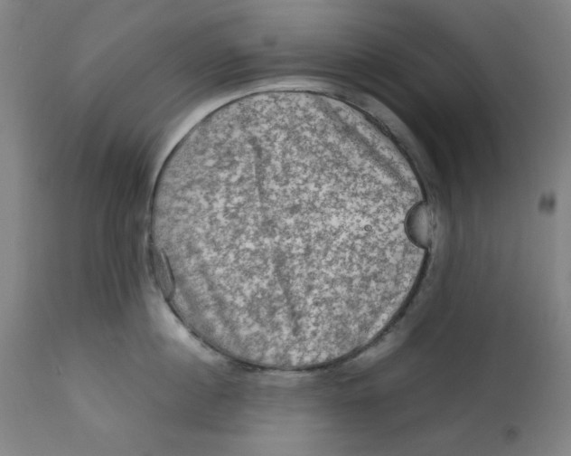 X0000112730860200909171126