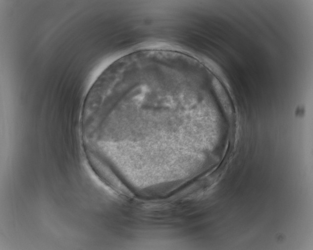 X0000112730863200909171126