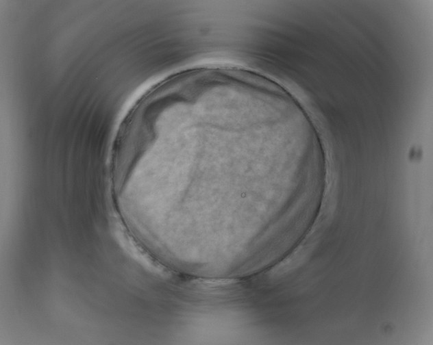 X0000112730864200909171126