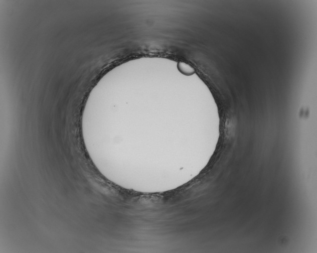 X0000112730865200909171125