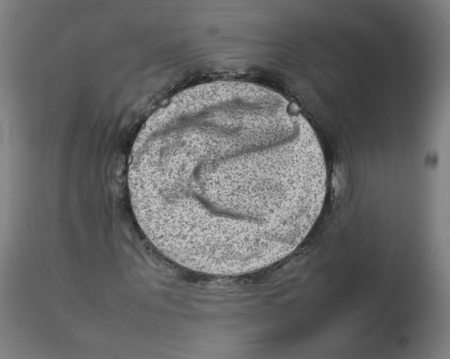 X0000112730867200909171125