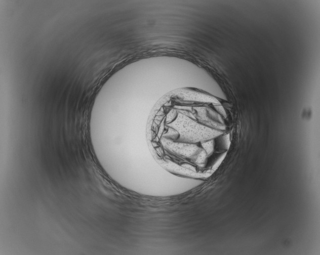 X0000112730868200909171125