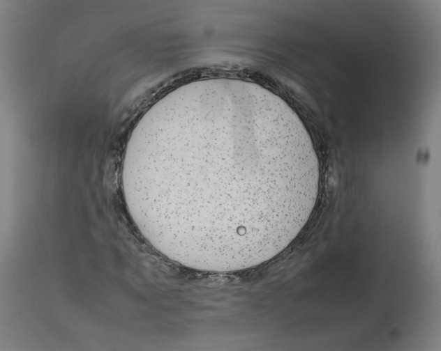 X0000112730869200909171125