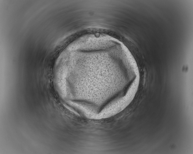 X0000112730870200909171125