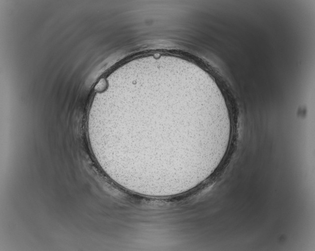 X0000112730873200909171125