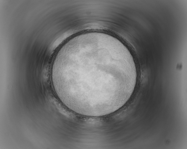 X0000112730874200909171125