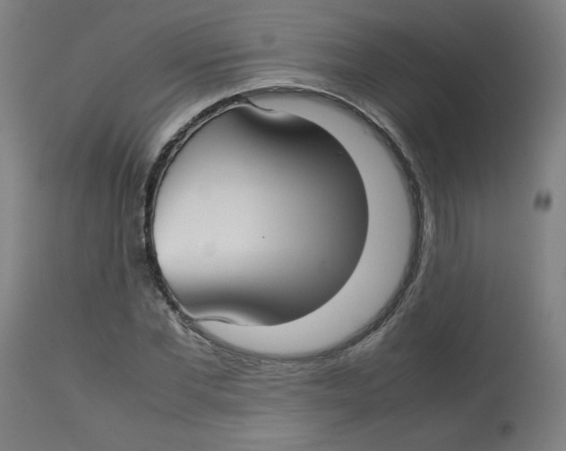 X0000112730877200909171125
