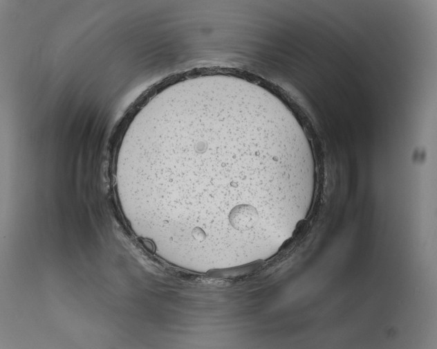 X0000112730878200909171125