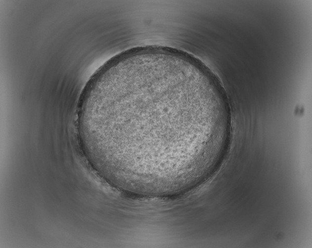 X0000112730879200909171125