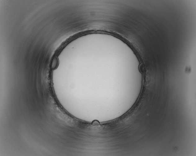 X0000112730880200909171125