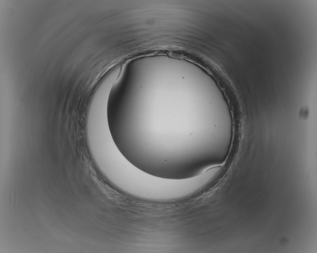 X0000112730881200909171125