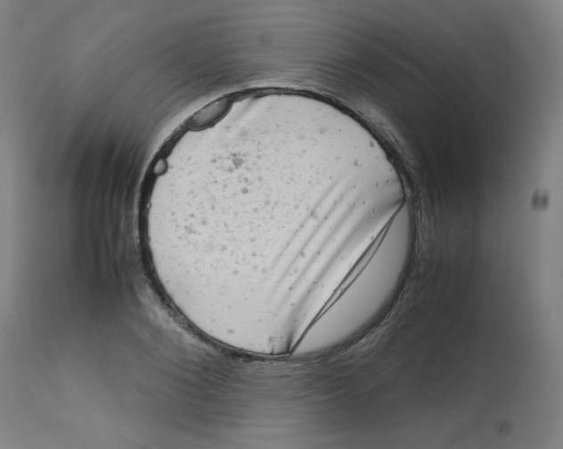X0000112730884200909171125