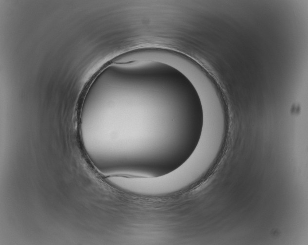 X0000112730885200909171125