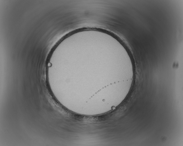 X0000112730887200909171125