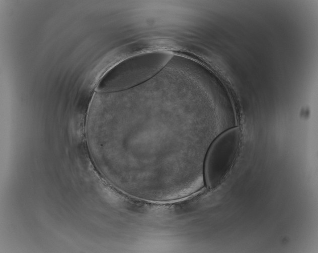 X0000112730889200909171125