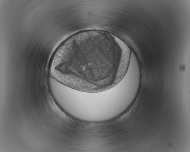 X0000112730892200909171124