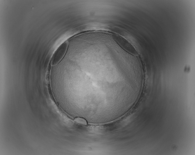 X0000112730893200909171124