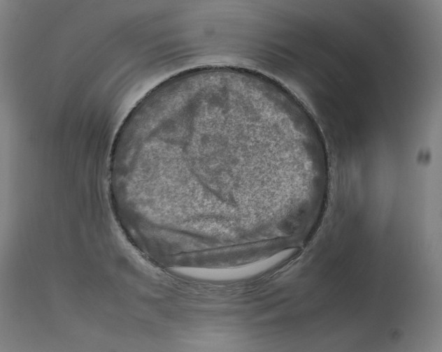 X0000112730895200909171124