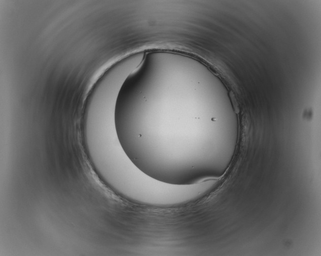 X0000112730896200909171124